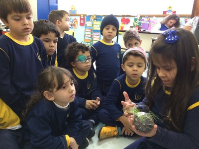 Alunos da Educação Infantil desenvolvem o projeto “Germinação de Sementes”.